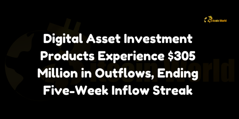 Digital asset investment products