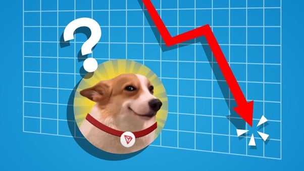 SUNDOG Price Crashes: Is Memecoin Mania Giving Way to Serious Projects Like Infinaeon? - Blockonomi