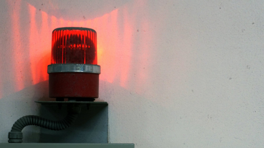 High-Yield Alert: 3 Canadian Dividend Stocks to Buy Now