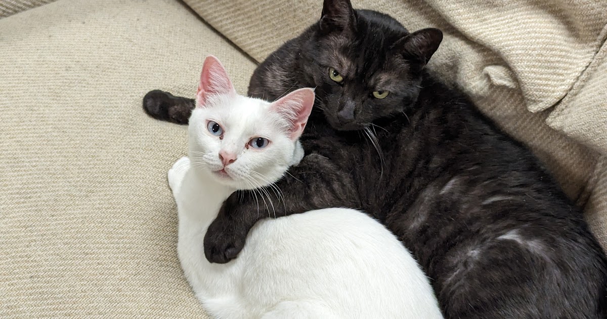 How Gratitude Transforms Trading