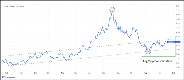Fat Tail Investment Research