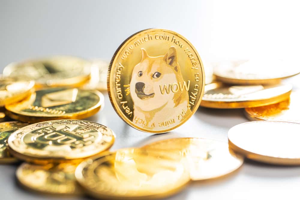 Dogecoin and Shiba Inu: Doge continues on the positive side