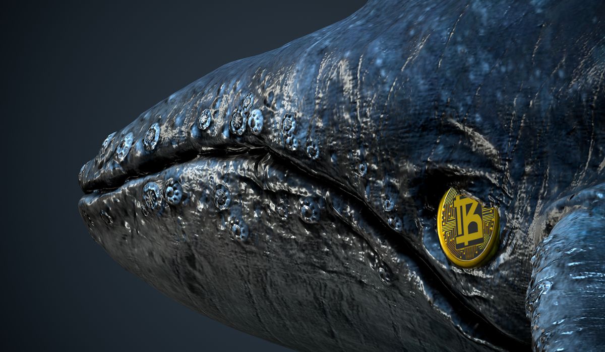 ETH Crypto Whale Plunges Into Bitnance Token Presale, Buys Most Tokens Ever