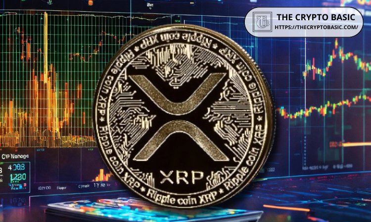 Expert Says 95% of XRP Holders Will Be Left Behind Due to Violating Basic Crypto Principles