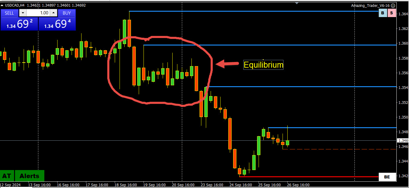 Forex Trading: A Constant Search for Equilibrium