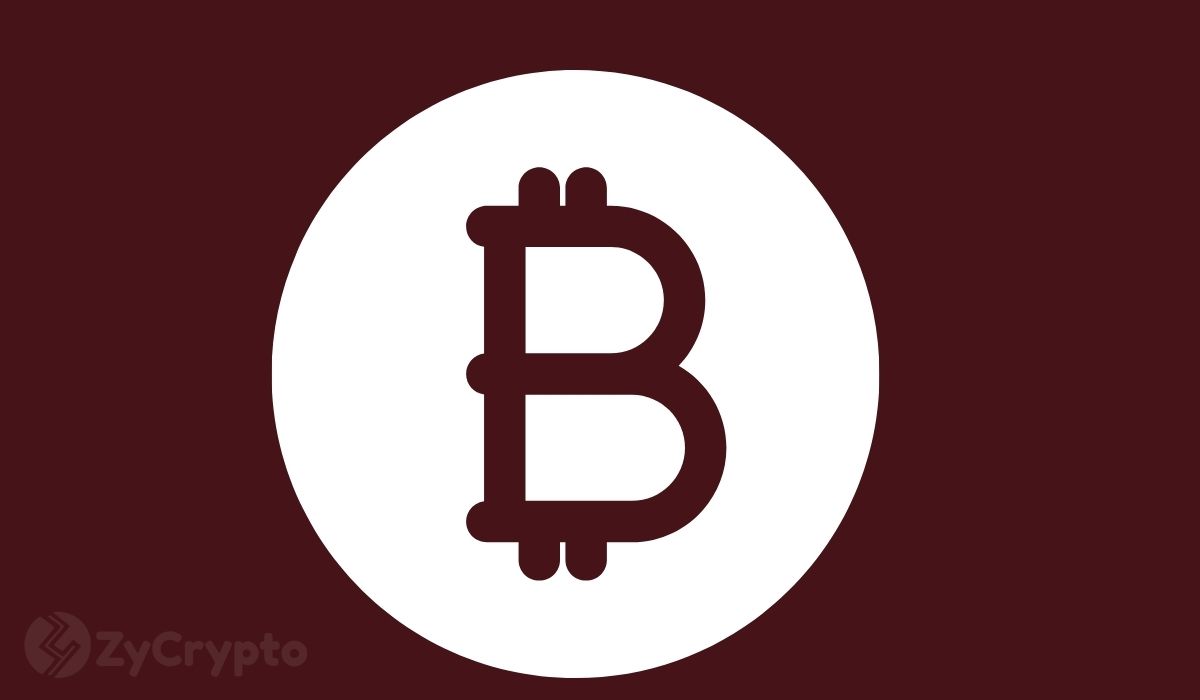 JPMorgan’s Jamie Dimon May Love Blockchain, But He Still Hates Bitcoin