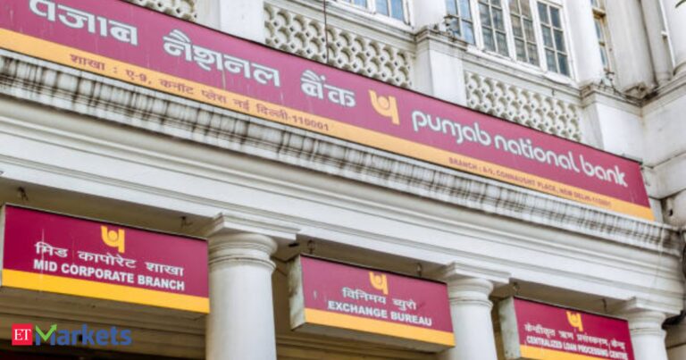 PNB launches QIP to raise up to Rs 5,000 crore at Rs 103.75 per share