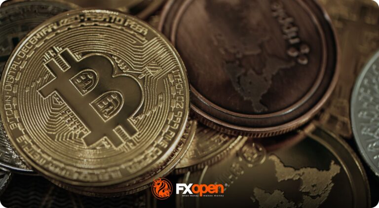 What Is a Bull Run in Crypto?