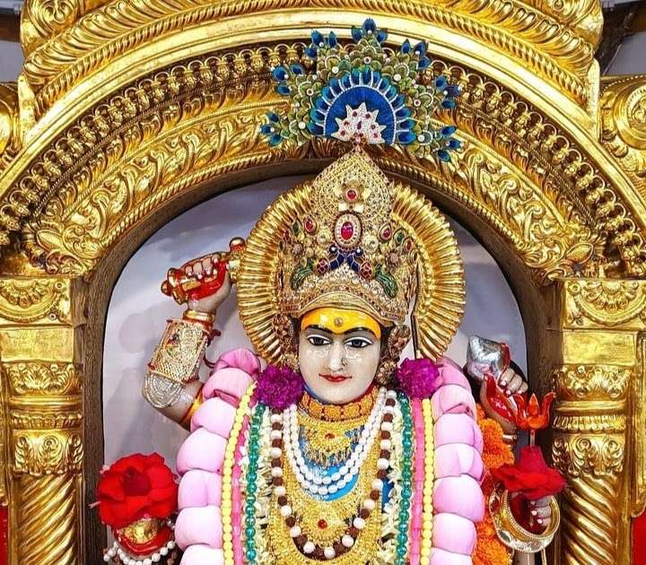 STOCK TIPS FOR  OCT  11  2024