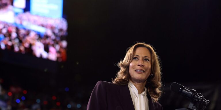 We led some of America’s largest companies. Here’s why we are voting for Harris, not Trump - shareandstocks.com