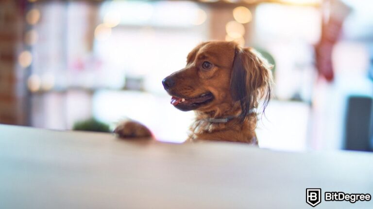 AI, memecoins, and a dog walk into a bar