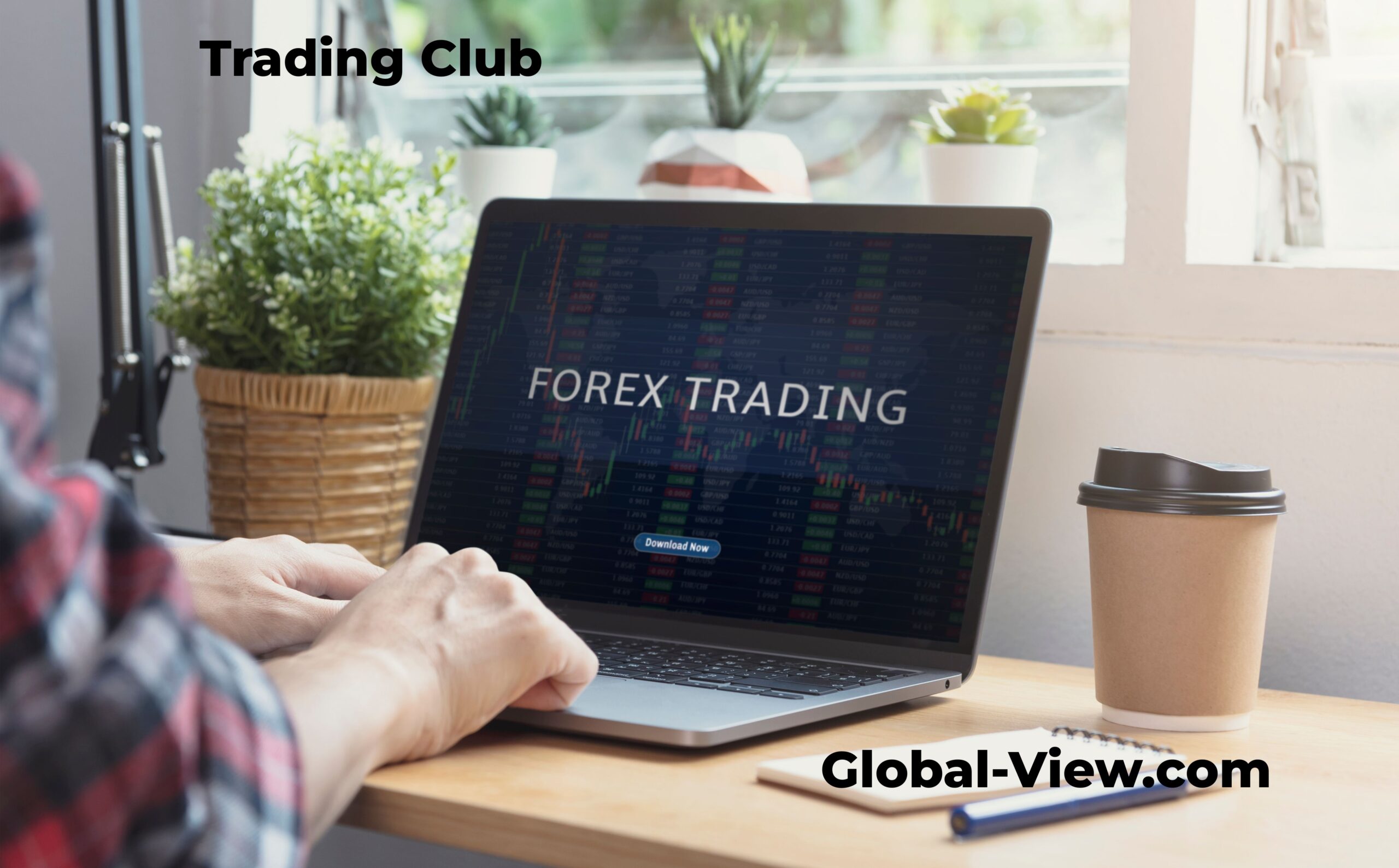 Common Sense Tips for The Average Trader