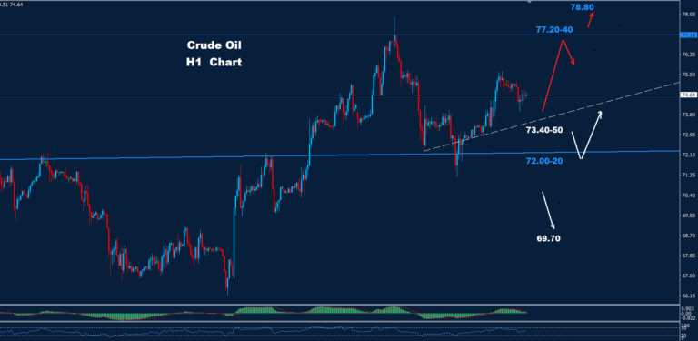 Crude Oil – 11.10.2024 - Orbex Forex Trading Blog