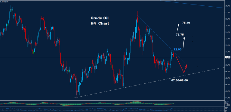 Crude Oil – 24.10.2024 - Orbex Forex Trading Blog