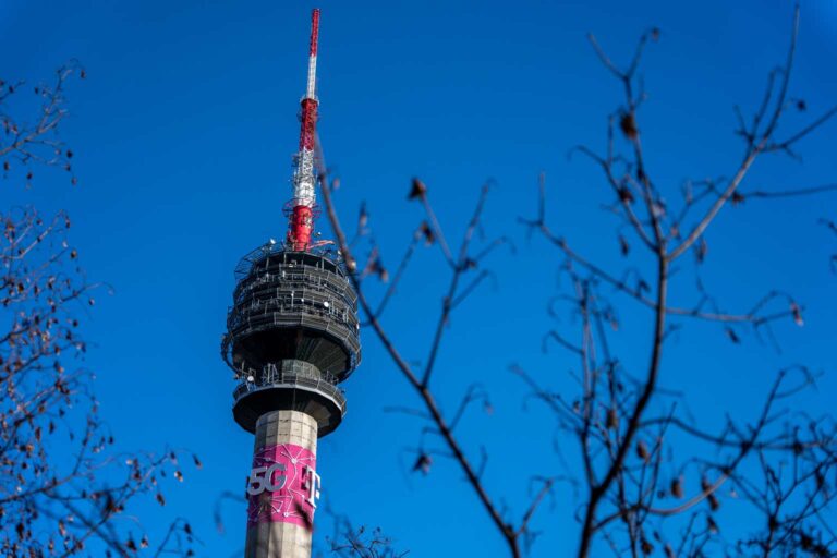 Wolf Report profile picture