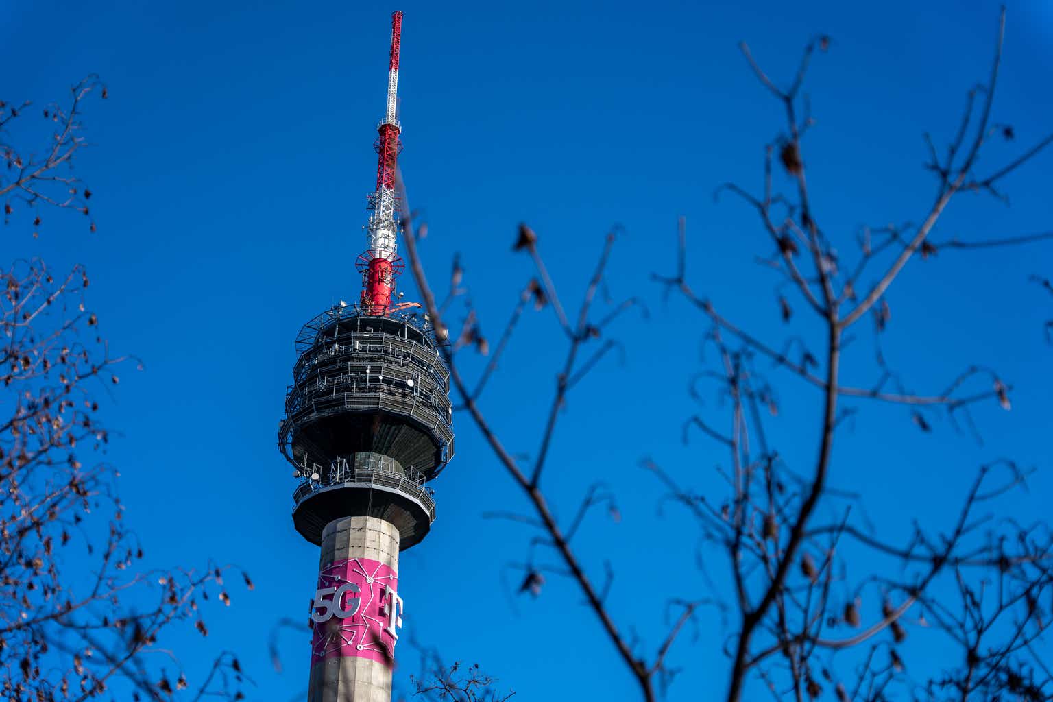 Wolf Report profile picture