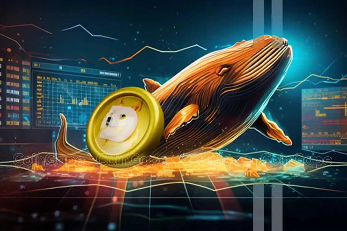 Dogecoin Whale DOGE price rally