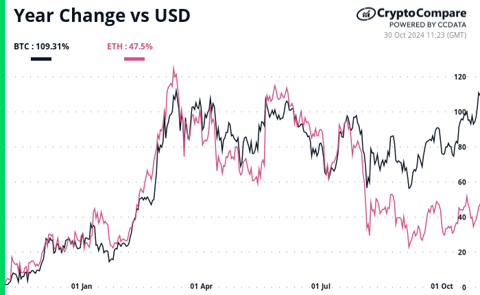 Daniel Jones profile picture