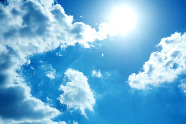 Quality Dividend Growth profile picture