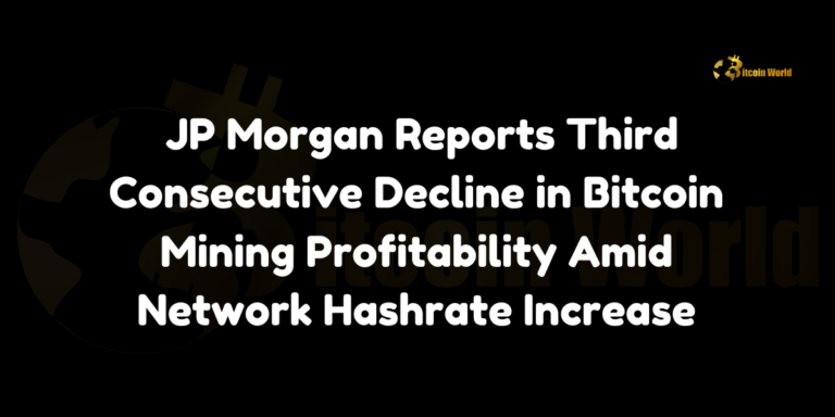 JP Morgan Reports