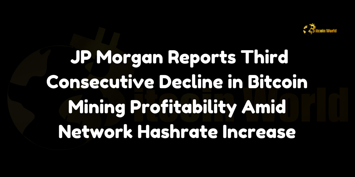 JP Morgan Reports