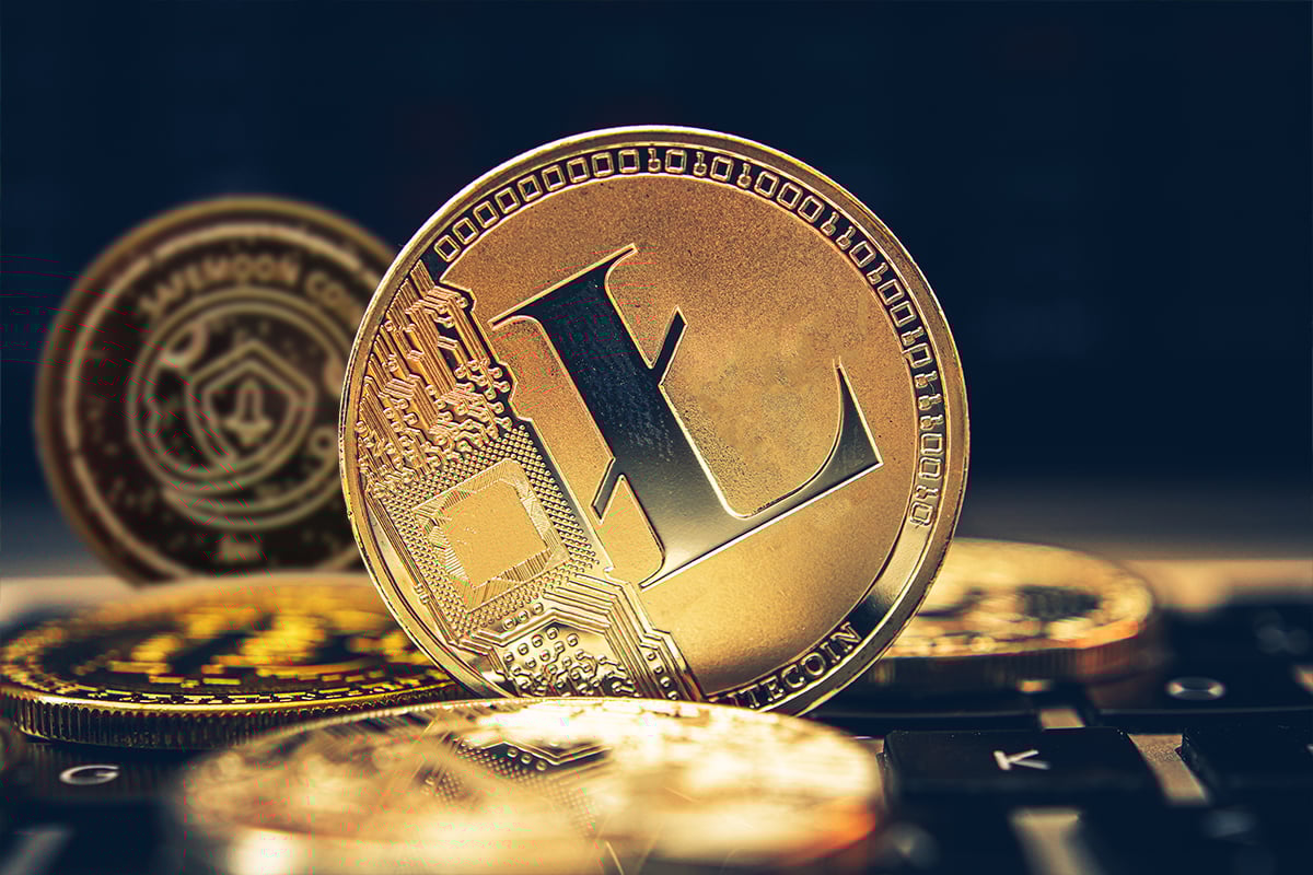 SafeMoon and Litecoin: Levels and Prices for Tuesday
