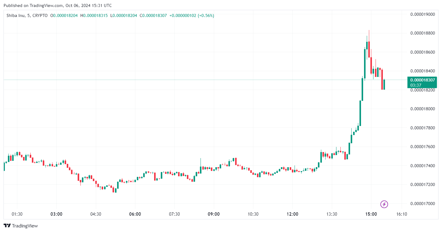 Von TradingView - SHIBUSD_2024-10-06