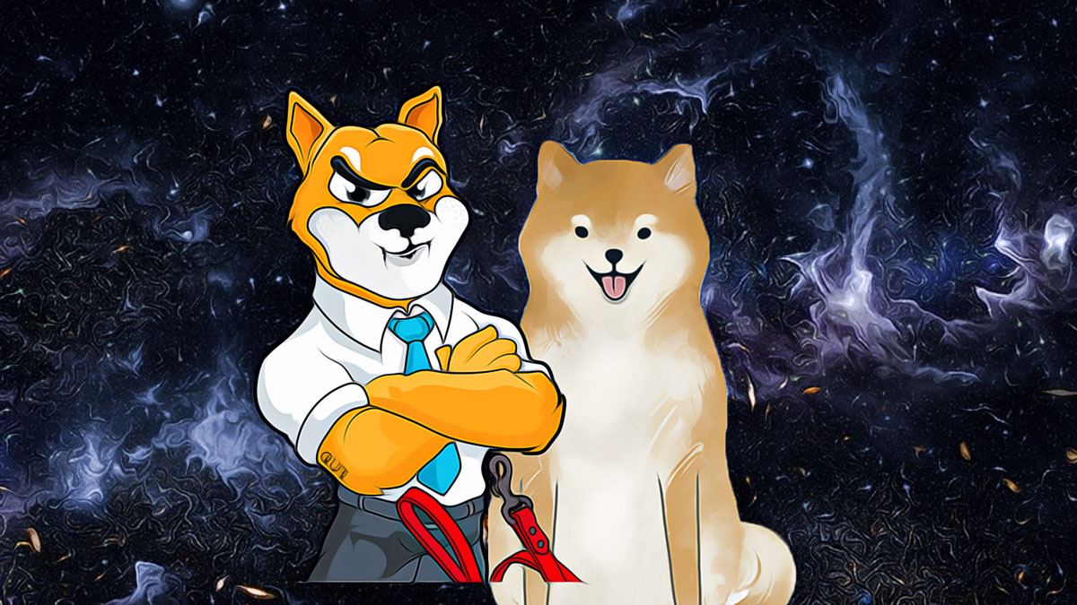 Shiba Inu Leader Seeks Meeting with Buterin