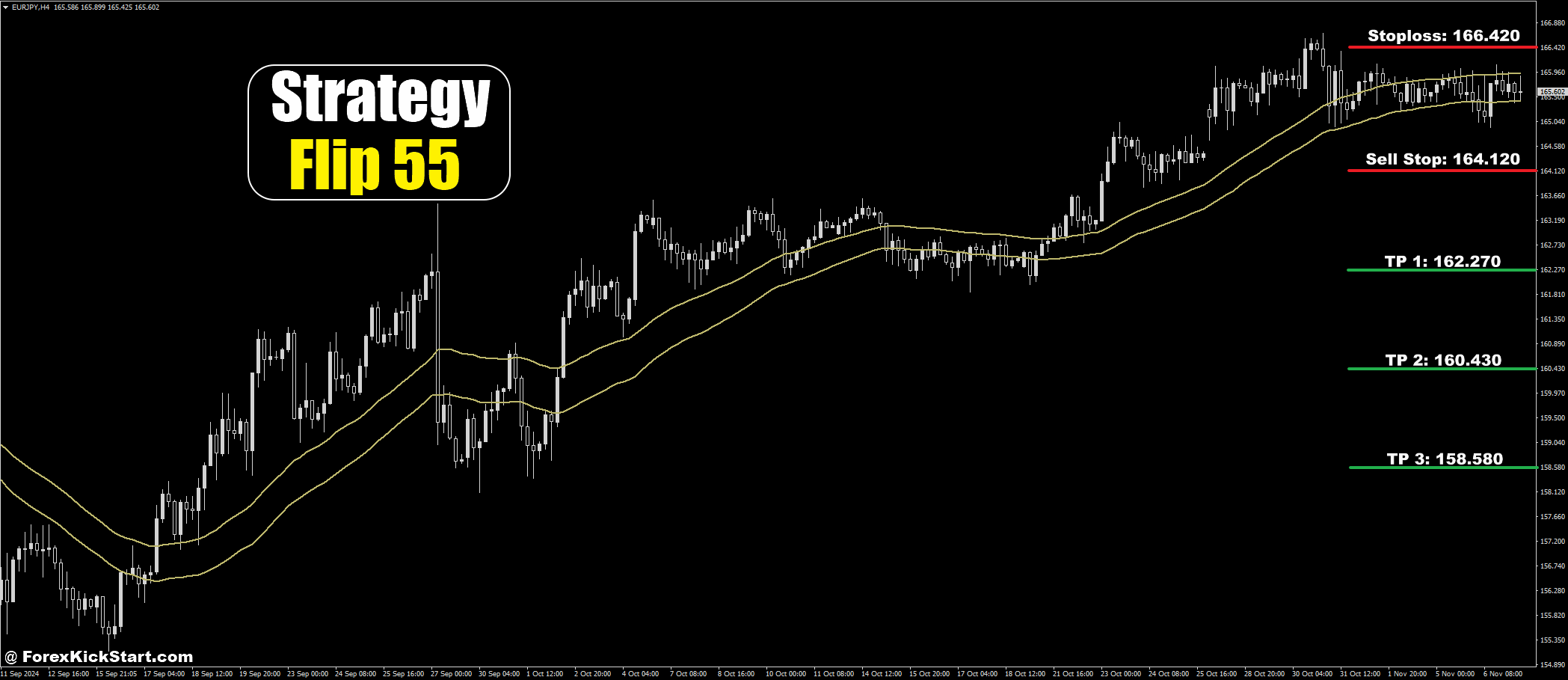 EURJPY Price Forecast 7th November 2024