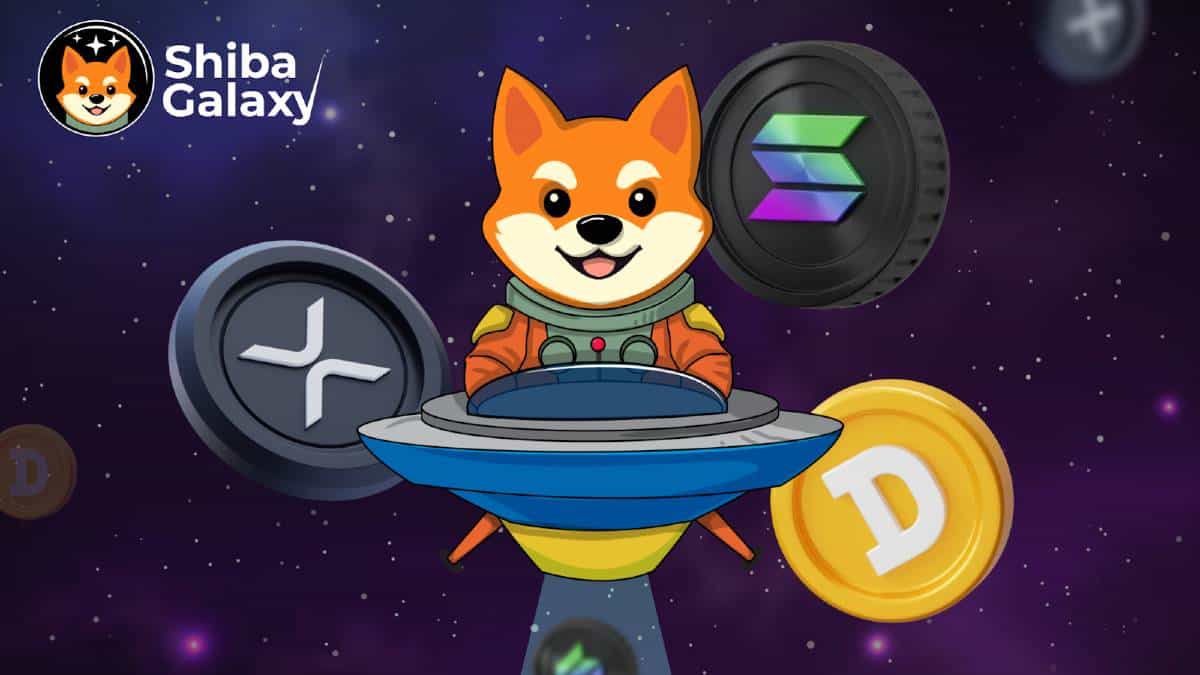 Dogecoin Hits 2024 Record High Following Major News from Trump: Meme Coins Are Back in Focus