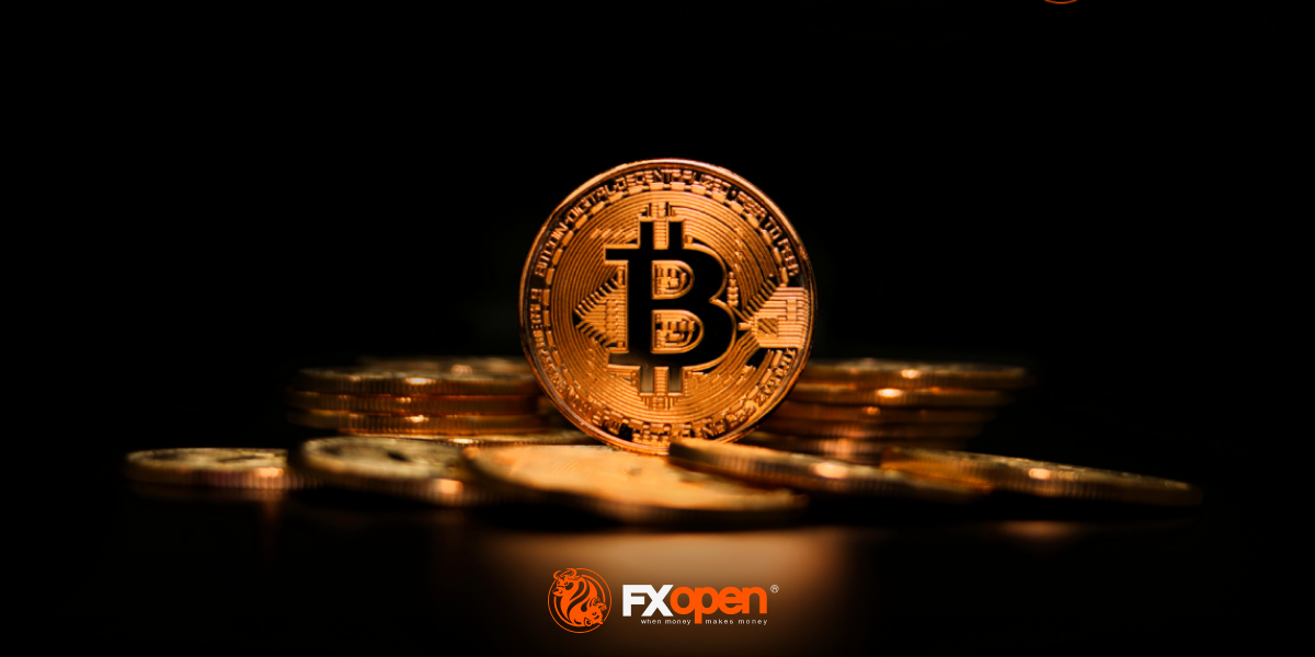 Bitcoin Price Reaches Record High Amid U.S. Election News