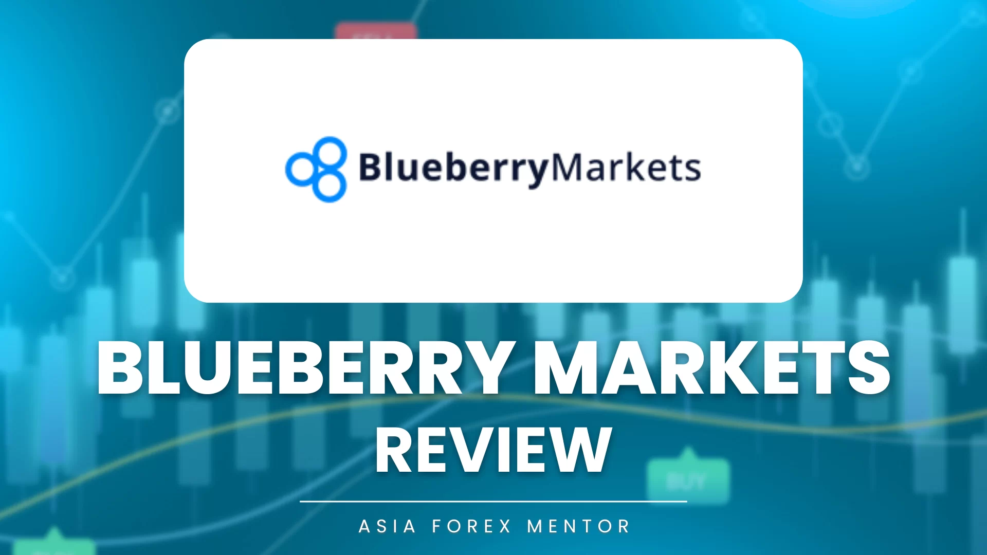 Blueberry Markets Review 2024 • Surprising Pros and Cons Inside!