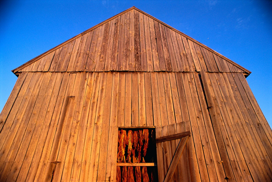 Chesapeake Stories – Fat Tail Daily