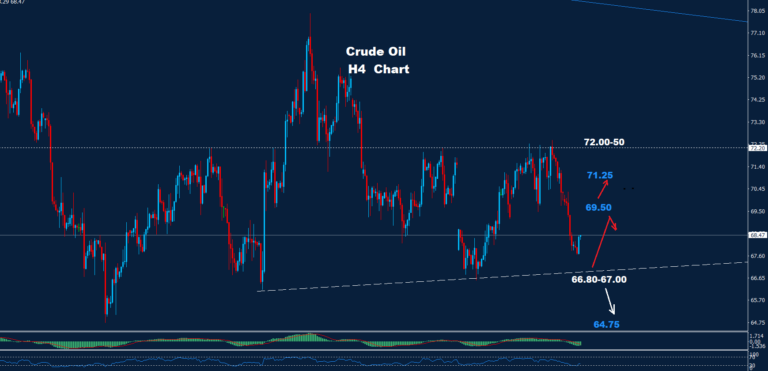 Crude Oil – 15.11.2024 - Orbex Forex Trading Blog