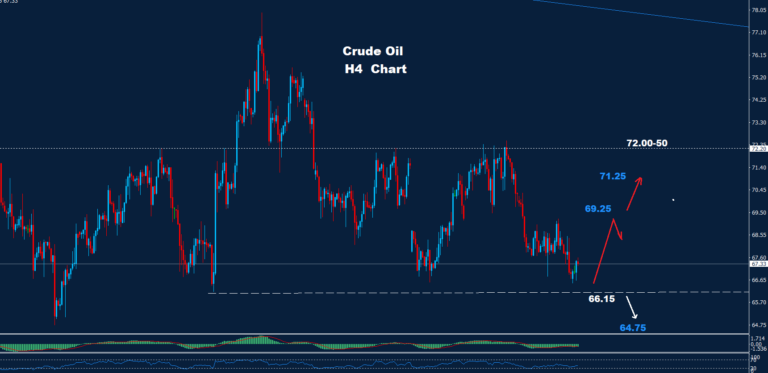 Crude Oil – 22.11.2024 - Orbex Forex Trading Blog