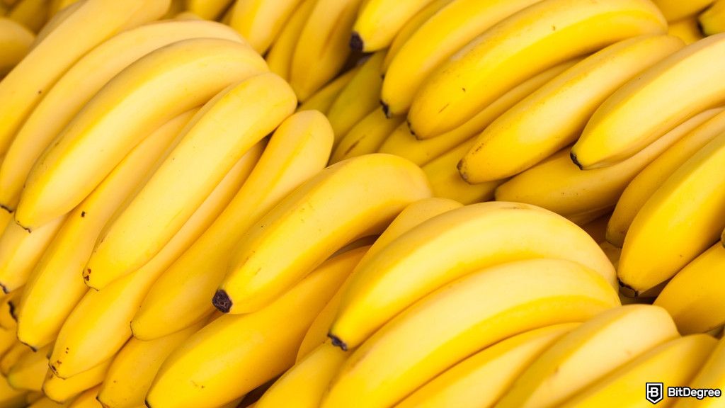 Justin Sun’s 100,000 Banana Plan Bites the Dust