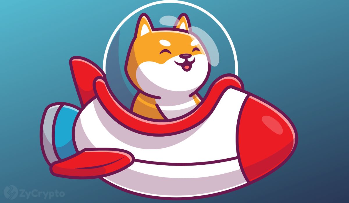 Shiba Inu’s Top Dev Emphasizes Long-Term Focus as SHIB Flirts with Historical Support