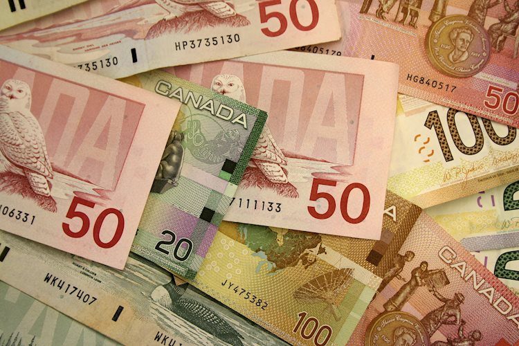 USD/CAD to reach the 1.42 in mid-term – Rabobank