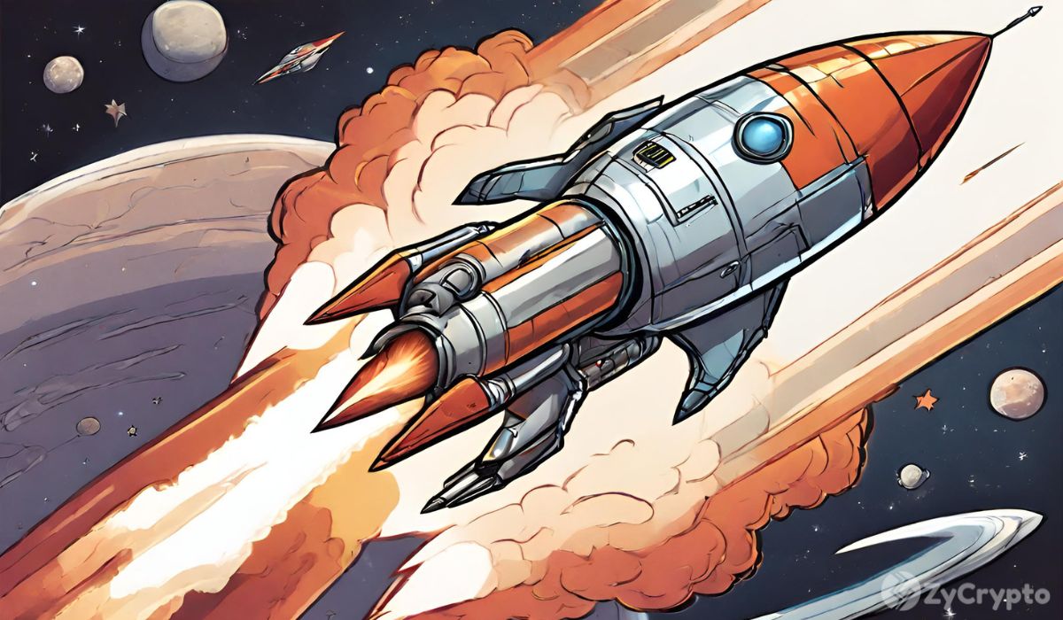 Why Are Meme Coins Defying Market Correction Ahead of US Elections