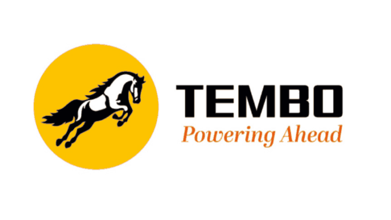 Tembo Global Industries Ltd: Fundamental Analysis - Dr Vijay Malik