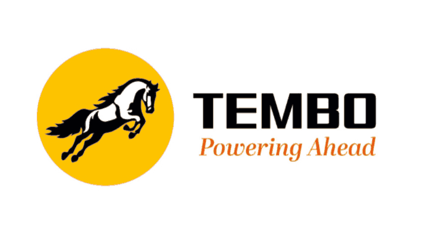 Tembo Global Industries Ltd: Fundamental Analysis - Dr Vijay Malik