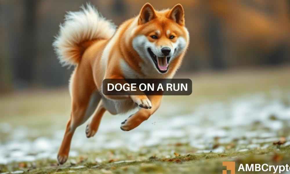 Dogecoin rides Bitcoin’s rally to set a short-term target – Details