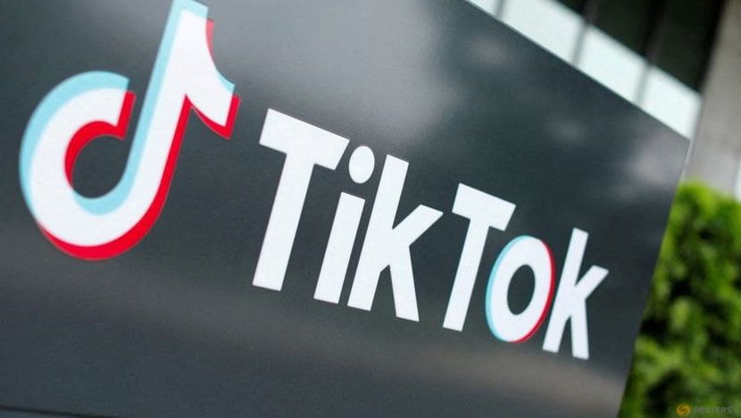 Trump asks Supreme Court to pause law that could ban TikTok in the US - shareandstocks.com