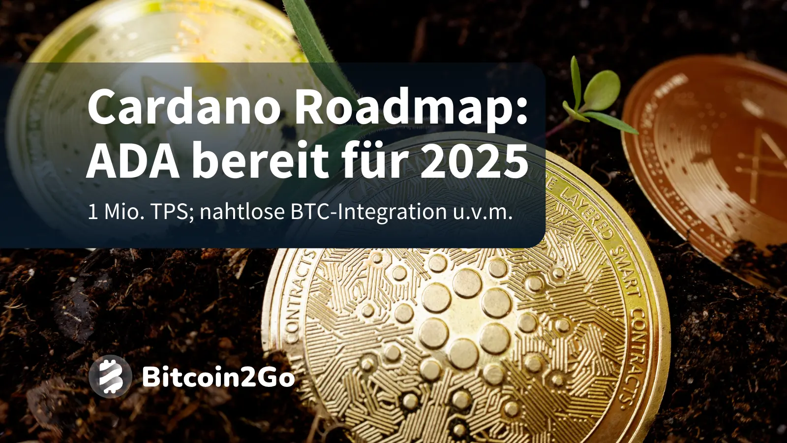 ADA News: Hoskinson stellt Cardano Roadmap für 2025 vor – BitRss – Crypto World News
