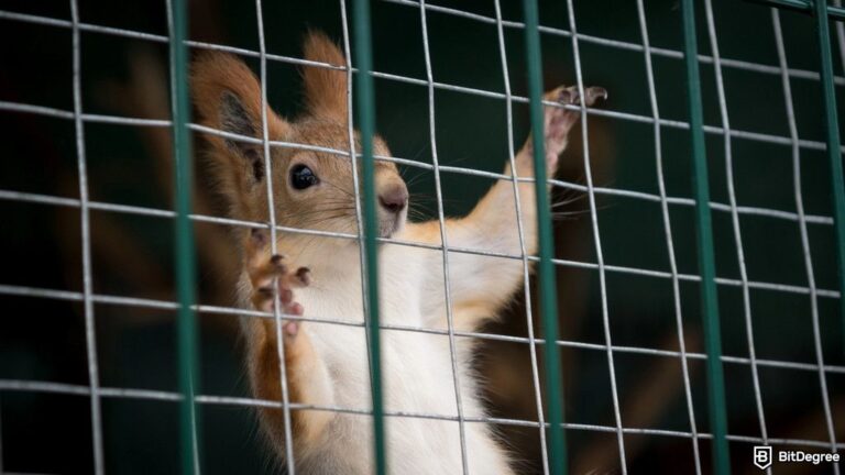 Binance Faces IP Lawsuit Over PNUT Token Trademark