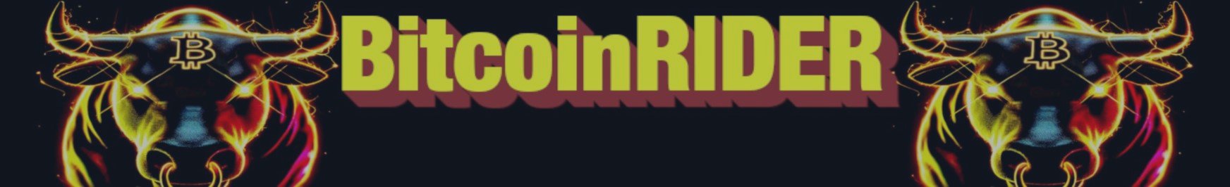 BitcoinRIDER - SET UP