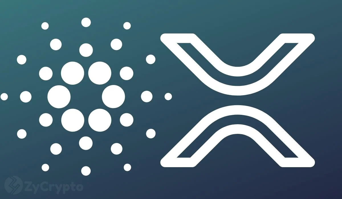 Cardano’s Hoskinson Eyes Groundbreaking Integration with Ripple’s XRP