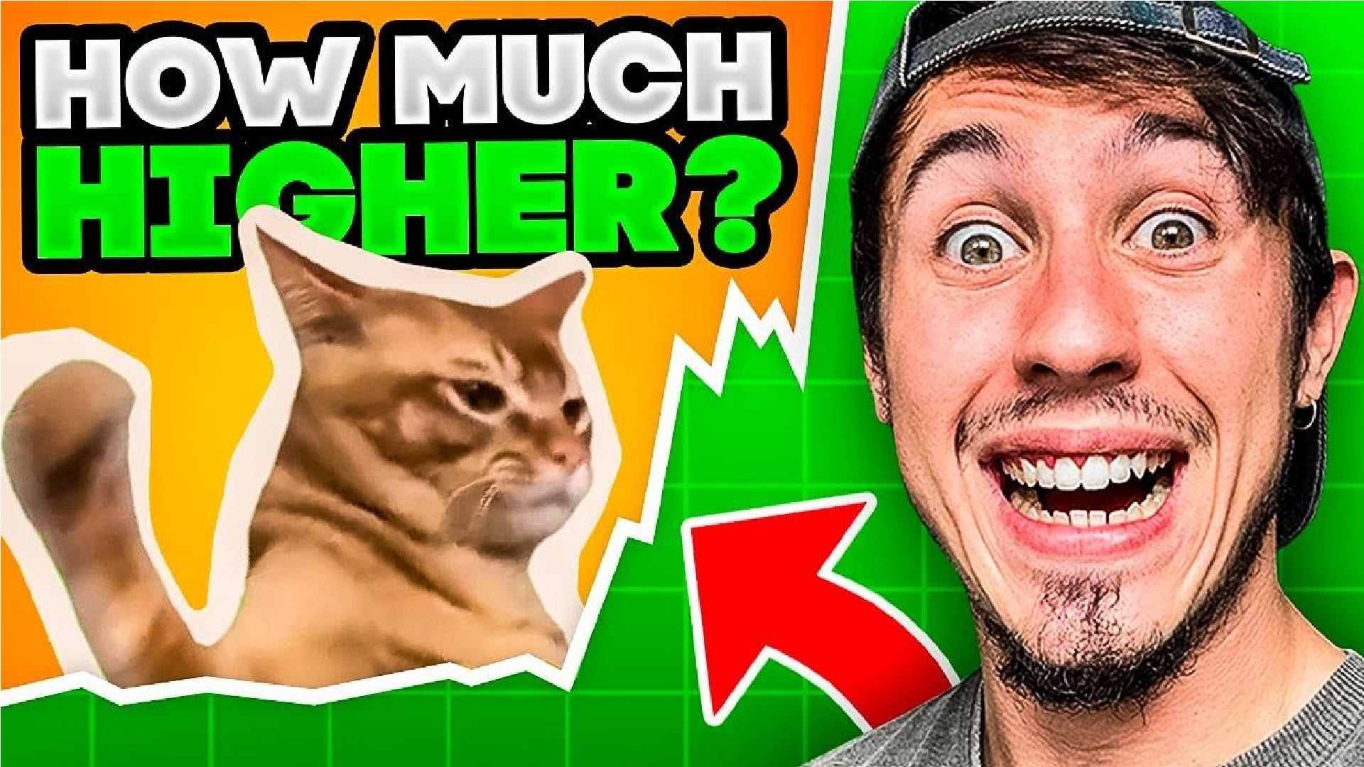 Catslap Meme Coin Price Prediction - Will $SLAP Continue Its Upward Trend?