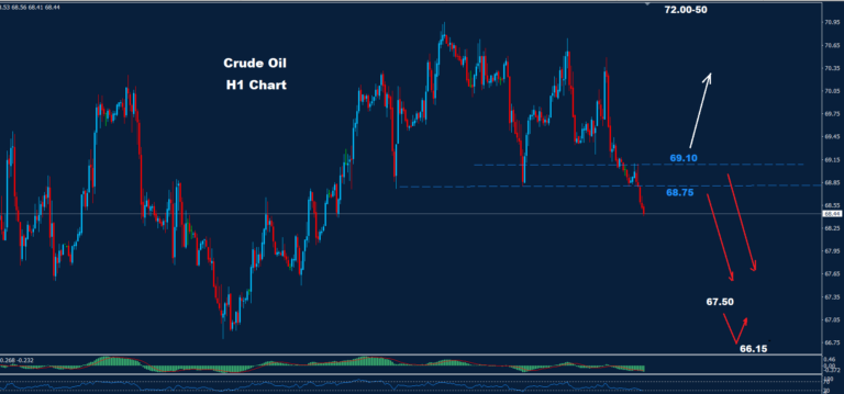 Crude Oil – 20.12.2024 - Orbex Forex Trading Blog