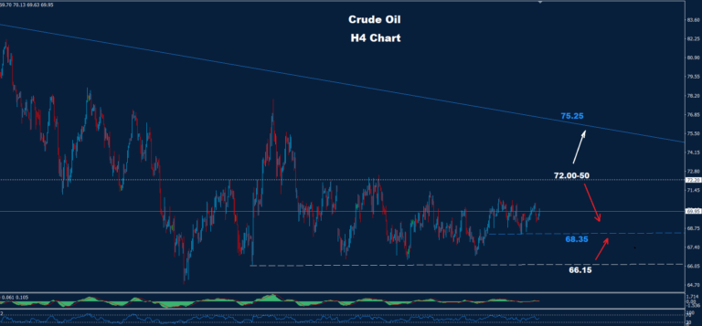Crude Oil – 30.12.2024 - Orbex Forex Trading Blog